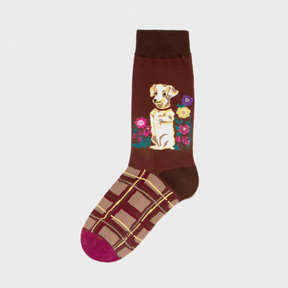 socks burgundy color image-S1L9