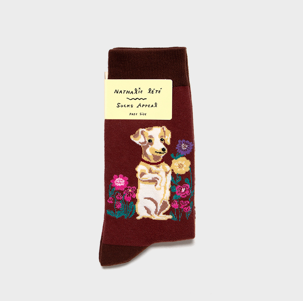 socks burgundy color image-S1L8