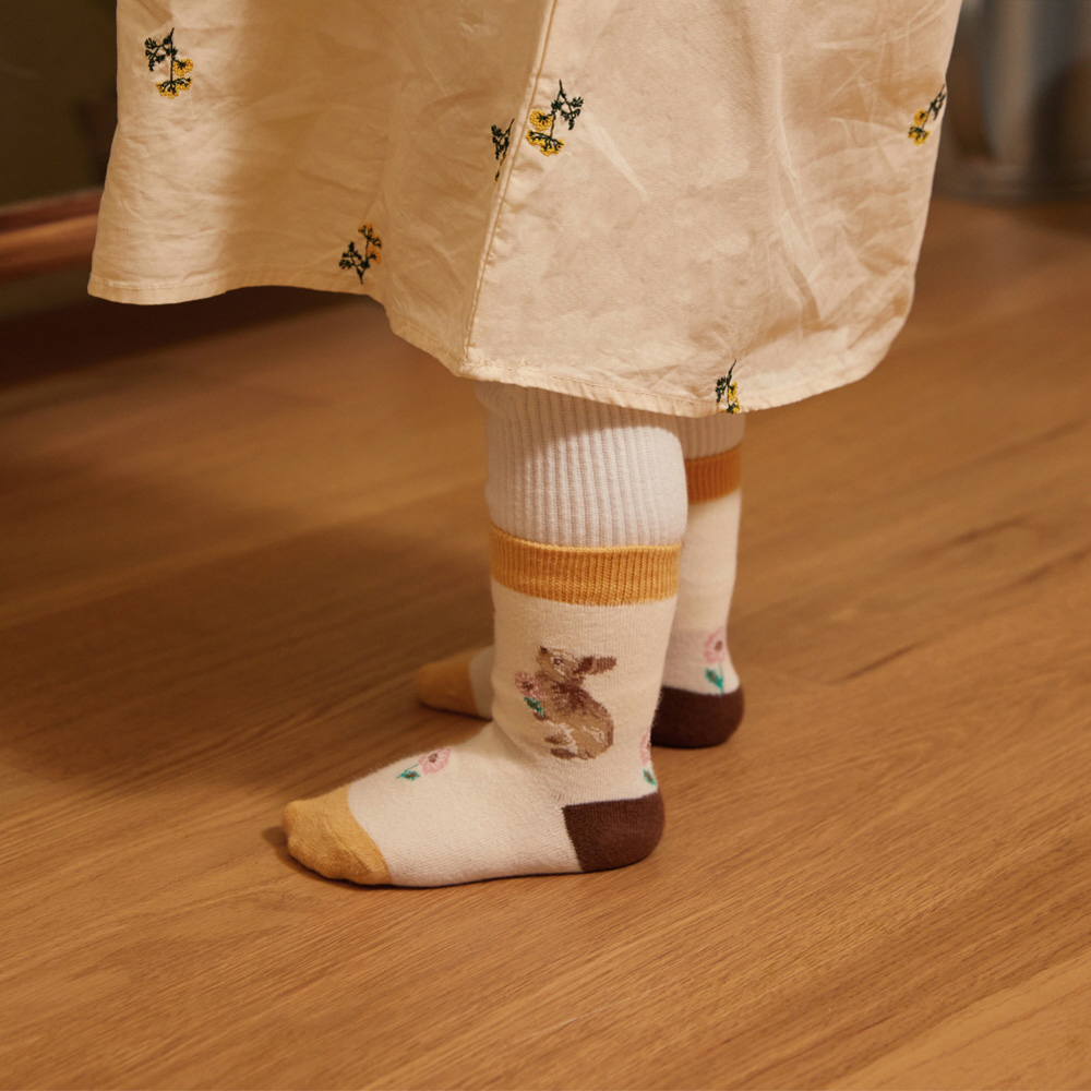 socks product image-S11L4