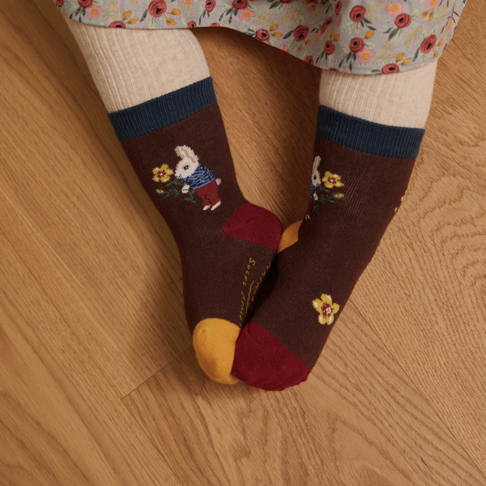 socks product image-S11L2